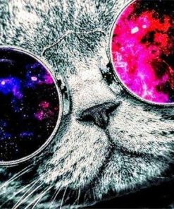 Cat with Space Sunglasses Paint By Number