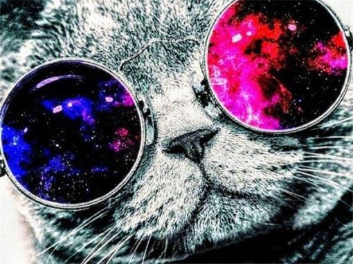 Cat with Space Sunglasses Paint By Number