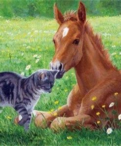 Cat And Horse In The Meadow Paint By Number