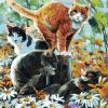 Cats and Daisies Paint By Number