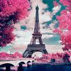 Cherry Blossoms in Paris Paint By Number