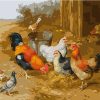 Chicken and Pigeons Paint By Number