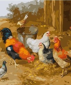 Chicken and Pigeons Paint By Number