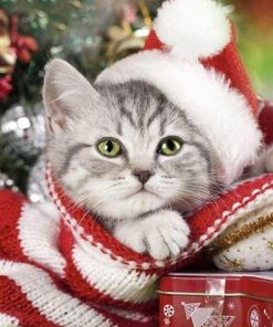 Christmas Kitten Paint By Number