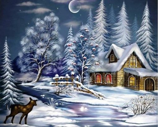 Christmas Snow Night Paint By Number