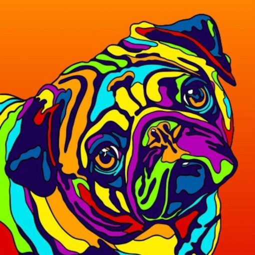 Clolorful Pug Paint By Number