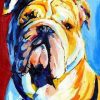 Bulldog Paint By Number