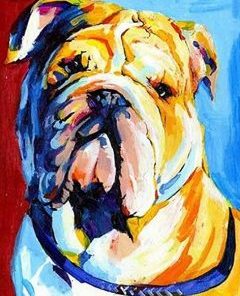 Bulldog Paint By Number