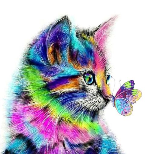 Colorful Butterfly And Cat Paint By Number