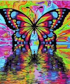 Colorful Butterfly paint by numbers