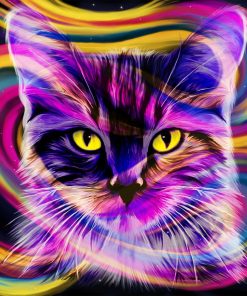 Colorful Cat paint by numbers