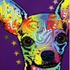 Colorful Chihuahua Dog Paint By Number