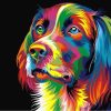 Colorful Dog Paint By Number