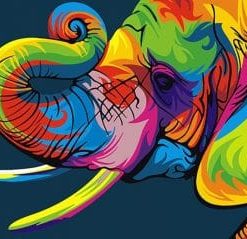 Colorful Elephant Paint By Number