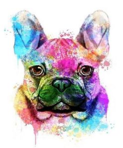 Colorful French Bulldog Paint By Number