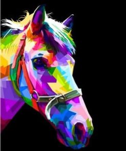 Colorful Horse Head Paint By Number