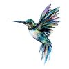 Colorful Hummingbird Paint By Number