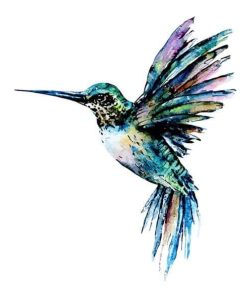 Colorful Hummingbird Paint By Number