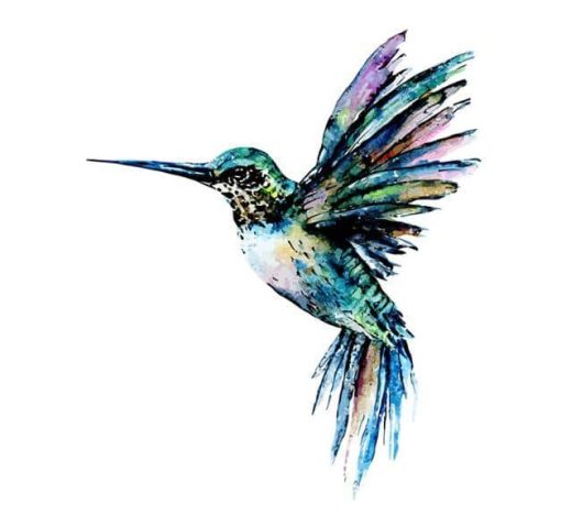 Colorful Hummingbird Paint By Number