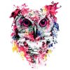 Colorful Owl Bird Paint By Number