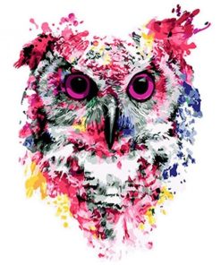 Colorful Owl Bird Paint By Number