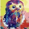 Colorful Owls Paint By Number