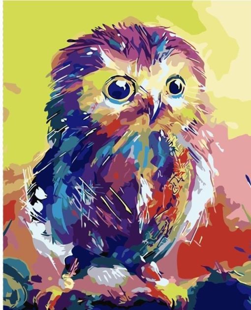 Colorful Owls Paint By Number