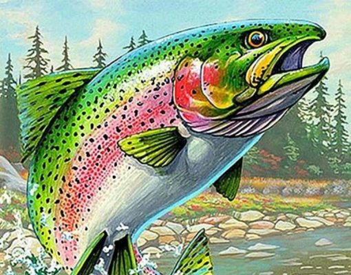 Colorful Salmon Paint By Number