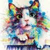 Colorful Splash Cat Paint By Number