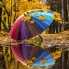 Colorful Umbrella and Leaves Paint By Number