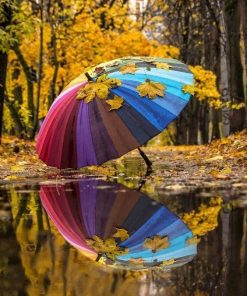 Colorful Umbrella and Leaves Paint By Number