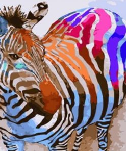 Colorful Zebra Animal Paint By Number