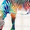 Colorful Zebra Paint By Number