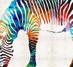 Colorful Zebra Paint By Number