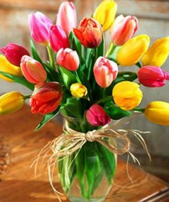 Colourful Tulips Paint By Number