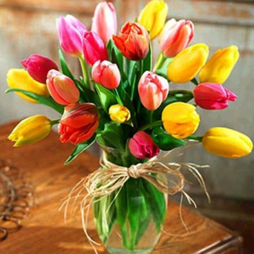 Colourful Tulips Paint By Number