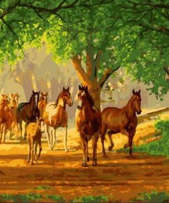 Country Horses Paint By Number