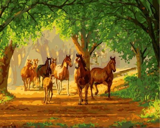 Country Horses Paint By Number