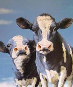 Cow Animals Paint By Number