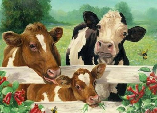 Cows in Cowshed Paint By Number