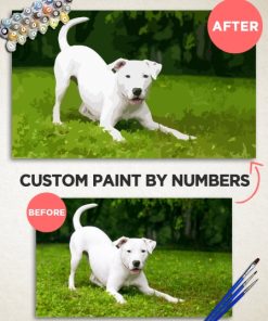 Customized Paint By Numbers For Adults