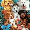 Cute Puppies Paint By Number