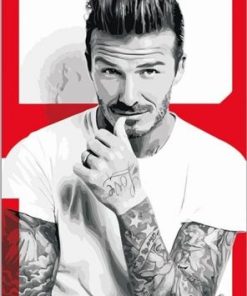 David Beckham Fashion Paint By Number