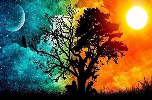 Day and Night Tree Paint By Number