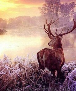 Deer By The River Paint By Number