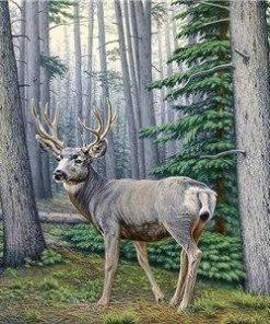 Deer In The Woods Paint By Number