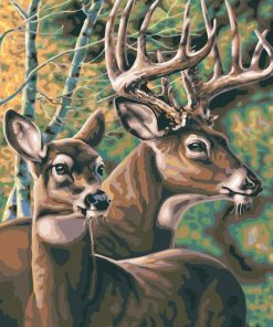 Deers Couple Paint By Number