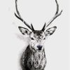 Deers Head Paint By Number