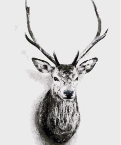 Deers Head Paint By Number