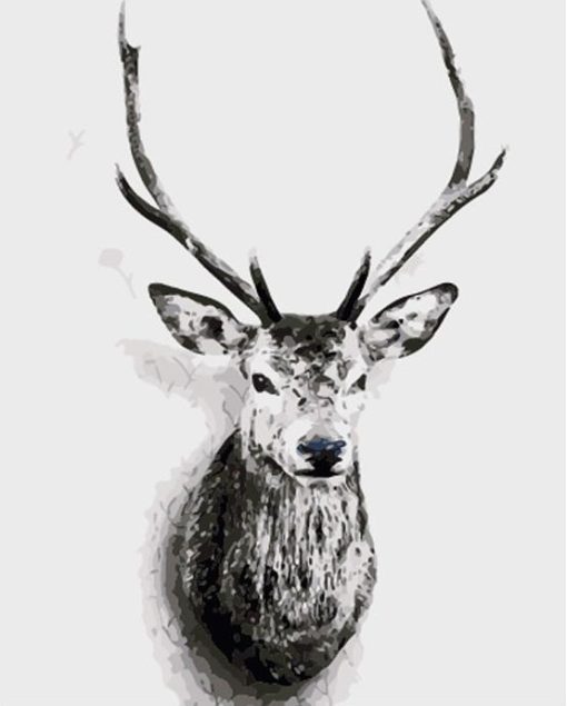 Deers Head Paint By Number